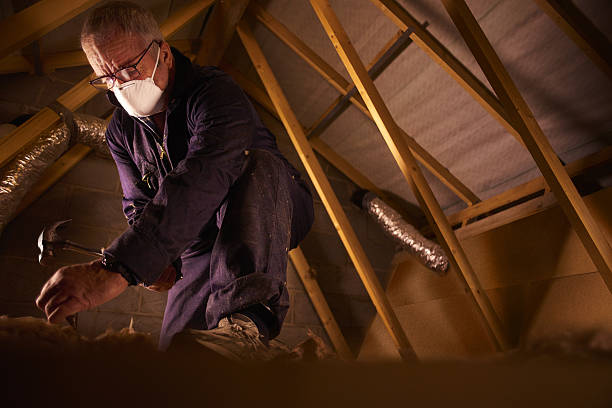 Best Cellulose Insulation  in Uintah, UT